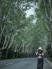 幸福的方式有很多配圖