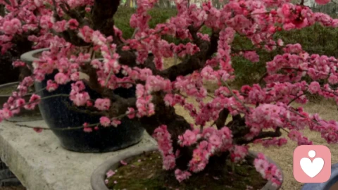 家是藏着温柔的地方，不是用来较劲的战场