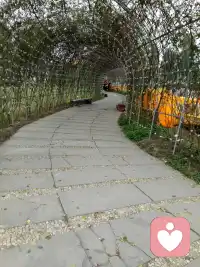 决心周末要好好休息，于是计划了看电影、见朋友、做一顿大餐……日程排满后，却带着一种“完成休息任务”的疲惫感迎接周一。我们似乎在“休息”这件事上，也悄悄给自己定了KPI。

或许，真正的充电时刻，不在于做了多少“快乐的事”，而在于拥有多少“可以什么都不做”的自由。

是发呆看着云飘过去的五分钟，是喝口水突然走神的那一秒，是任凭念头飘来荡去而不去评判的片刻松弛。这些“无意义”的缝隙，才是紧绷神经得以悄悄舒展的温床。

今天，不妨尝试给自己一小段“空白时间”。没有目的，不追求质量，只是存在。

真正的修复，往往发生在我们不试图“修复”任何事的时刻。配图