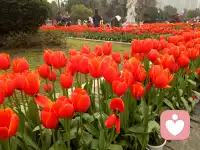 深夜时分，是否带着疲惫还不愿入睡？如果心里有些问号，别忘了，我在这里等你配图