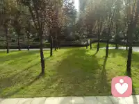 周末就该像给手机充电那样，给自己松松劲儿。啥也别想，就安静坐会儿，听听自己的呼吸。或者做点让心里舒坦的小事：泡杯茶慢慢喝，放首喜欢的歌，散步时看看树、看看天。别老想着“得做点啥”，就纯粹待着，发发呆也挺好。记住啊，周末休息天经地义，你值得好好喘口气。配图