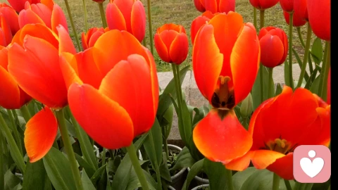 看懂自己心灵的天气