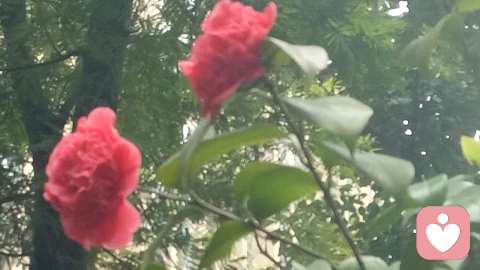 别让内耗拖垮你:普通人的日常心理,藏着最实在的自愈之道