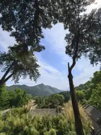 一、别总听悲伤的歌，别总想从前的事，别让过去拖住脚，别让未来被辜负。 

二、水的清澈， 并非因为它不含杂质， 而是在于懂得沉淀； 心的通透， 不是因为没有杂念， 而是在于明白取舍。 

三、想成为更好的自己，就去见识更大的世界，认识更多奇妙的人，汲取更广泛的知识。你不需要别人过多的称赞，因为你自己知道自己有多好。内心的强大，永远胜过外表的浮华。配图