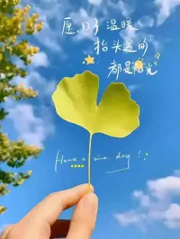 一、我们不能把自己的心情停留在昨天，而要好好的活在当下。

二、“脾气越大，身体越差；脾气越温，福报越深。”脾气与福气就像跷跷板，一头抬起，一头落下。要想留住福气，先要收住脾气。

三、敬人等于敬己 ，人与人是相互的。你对别人大度，别人便对你宽宏。你对别人小气，别人便和你计较。你对别人真诚，别人便给你坦诚。