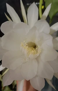 一、所做之惡，留在身邊；所做之善，回到身邊。

二、走好選擇的路，別選擇好走的路，你才能擁有真正的自己。 

三、在善行面前，要勇往直前。如果希望明天幸福，就在今天多一些努力。如果希望來生幸福，就在今生多一些努力。幸福的人生，是點點滴滴善的累積。種下一個好的念頭，收獲一個好的行為：種下一個好的行為，收獲一個好的習慣；種下一個好的習慣，收獲一個好的性格；種下一個好的性格，收獲一個好的命運。配圖