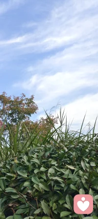 一、成功人士給你灌雞湯，是因為他們把雞肉吃完了。

二、人活得累，一是太認真，二是太想要。然而，凡是你想控制的，其實都控制了你。
  
三、所謂堅持，不是四處尋求安慰后的堅持，不是需求鼓勵后的堅持，不是被人說服后的堅持。而是無論如何，牙碎自己吞，流淚自己擦，摔了站起來繼續走。配圖