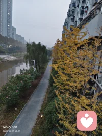 一、輕松時別忘了努力，忙碌時別忘了夢想。

二、不亂于心，不困于情，不畏將來，不念過往，如此，安好。——豐子愷

三、生活盡管不完美，而我卻依然微笑。人生可以走的路很多，有些是我們自己可以選擇的，有些卻是我們必須去接受的。能認識自己的失去和欠缺，勇敢的面對和承擔， 并能繼續向前走，欣賞自己的生活，也享受生活的過程，這就是我們應有的人生態度。配圖