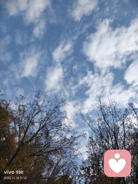 一、多花一些時(shí)間了解自己，少花一些時(shí)間在應(yīng)付他人身上。

二、知事不聲張，是一種善良；知理不爭(zhēng)辯，是一種智慧；知人不評(píng)人，是一種修養(yǎng)。

三、不要輕易和人發(fā)生爭(zhēng)執(zhí)，當(dāng)有人和我們爭(zhēng)執(zhí)時(shí)，就讓他贏，因?yàn)槲覀儾](méi)有因此而損失什么。所謂的贏，他又能贏得什么、得到什么呢？所謂的輸，你又輸了什么、失去了什么呢？爭(zhēng)來(lái)爭(zhēng)去只會(huì)傷了彼此的和氣，還會(huì)平添無(wú)謂的煩惱。謹(jǐn)慎地、沉默地、精明地回避，以平常心應(yīng)對(duì)無(wú)常的人生。配圖