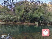 一、誰都有大腦，可不是誰都有智慧；誰都有眼睛，可不是誰都有眼光；誰都有機遇，可不是誰都能抓住機遇；誰都有雙手，可不是誰都能實現理想！機會永遠都是為那些有智慧、有眼光、有勇氣的人準備的。

二、好運不是天生的，背運也不是一天兩天形成的。所謂的一鳴驚人，都有十足的努力和付出來支撐。不幸的人或許各有不同，好運的人，卻有千篇一律的上進心和執行力。配圖