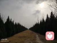 一、一個人品不完善的人是不可能成為一個真正有所作為的人的。

二、人生可以沒有學位，但不可以沒有學問，更不可以沒有人品。人品是最高的學位，德與才的統一才是真正的智慧，真正的人才。

三、做人，人品是最硬的底牌。以寬容之心待人，以義氣之心處友，以慈悲之心立世。知感恩者，得人心；得人心者，受人尊；受人尊者，必有品。配圖