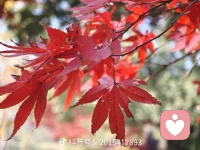 一、早成者未必有成，晚達者未必不達。不可以年少而自恃，不可以年老而自棄。

二、為了看到更完美的自己，做人就要舍得對自己狠一點，努力不是給別人看的，是為了讓自己變得更好。

三、人生最大的挑戰就是挑戰自我。自己肯定自己，是一種意志的勝利；自己征服自己，是一種靈魂深處的提升；自己控制自己，是一種理智的成功；自己創造自己，是一種心理境界的升華；自己超越自己，是一種人生的成熟。

美好的一天開始了！
早安，親們！