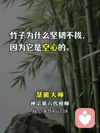 一、降伏自己的就是圣人，放縱自己的就是俗人。

二、不論你傷害誰(shuí)，就長(zhǎng)遠(yuǎn)來看，你都是傷害到你自己，或許你現(xiàn)在并沒有覺知，但它一定會(huì)繞回來。

三、大其心，容天下之物，虛其心，愛天下之善，平其心，論天下之事，潛其心，觀天下之理，定其心，應(yīng)天下之變。配圖