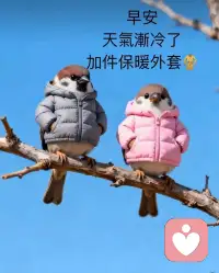 一、不要对还没发生的事情过分期待，也不要对没有发生的事情过分焦虑。

二、带上自己的阳光，照亮自己的心灵，只要你心中有阳光，无论走到哪里，无论发生任何事情，你都会觉得是幸福的。

三、活的真诚、独特、潇洒，那么这样活当然很美。人的一生什么最快乐，没有贪心的人最快乐，没有嗔心的人，没有嫉妒心的人，没有分别心的人最快乐。快乐来自于奉献，快乐来自于觉悟。 

美好的一天开始了！配图