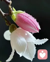 a、一个真正强大的人，不会把太多心思花在取悦和亲附别人上面。所谓圈子、资源，都只是衍生品。最重要的是提高自己的内功。

b、遇到不讲道理的人，就不和他争了，没意义。遇到不懂感恩的人，就不理他了，惹不起，那就躲着走！遇到小事，懒得计较，能过去的就让他过去。

c、最后悔没有早点知道的道理是人学到的本事都是自己的，谁也抢不走。多学一门本事，就少说一句求人的话。现在的努力都是在为以后铺路，以免以后遇到问题手足无措求助无门。

美好的一天开始了！
早安，亲们！配图