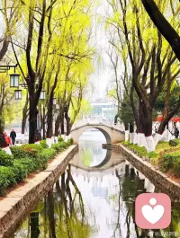 一、计算得太清楚的人通常聪明无比，但，换来的却是烦恼无数和辛苦一场。

二、我们不肯探索自己本身的价值，我们过分看重他人在自己生命里的参与。于是，孤独不再美好，失去了他人，我们惶惑不安。——三毛《简单》 

三、所谓“放下”，并不是放弃，也不是什么都不要，而是要放下那些是非得失的牵绊，放下那些爱恨情仇的纠缠，放下那些烦恼困惑的纠结；懂得放弃沉重的欲望，放下过度的需求，舍弃不必要的执着，才能享受幸福快乐的生活。 

美好的一天开始了！
早安，亲们！配图