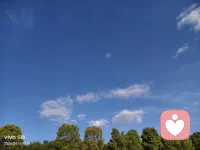 一、这世间从来没有所谓的逆袭。如果有的话，也不过是日复一日自律和努力的结果。

二、放纵自己的欲望是最大的祸害；谈论别人的隐私是最大的罪恶；不知自己过失是最大的病痛。—— 亚里士多德 

三、看一个人今后的发展如何，就看一个人对欲望的自控能力。如果你可以控制你的饮食、睡眠、懒惰和抱怨的嘴！这本身就是一种强大。凡是你想控制的，其实都控制了你……愿岁月锤炼你一副丰满的灵魂和清瘦的欲望。

晨间分享
一定要微笑，
因为身体会听从大脑的指令。
当你微笑的时候，你是在告诉自己的身体，
一切尽在掌握当中。
你不笑的时候很普通，
但你一笑，
天都亮了。
美好的一天开始了！
早安，亲们！