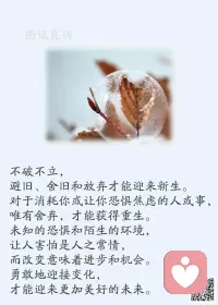 一、人生无常，每个人都要和命运斗争。——伊丽莎白·库伯勒·罗斯 

二、只有真正从黑夜中摸索过的人才懂得珍惜黎明的曙光，只有真正去努力过才有资格品味成功的甘甜。把握生命中的每一个机会，希望就在前方。

三、生命中有许多的错失，因为我们不努力，然后欺骗自己说一切都是命运。殊不知命运再好，都要经历风雨和黑暗；再糟，上天也会为你预留一片阳光，你不会永远站在阴霾之下。每个人都有自己的事要做，不论是开心的，还是悲伤的事。每个人都有自己的人要遇，不管是携手的，还是擦肩的客。
 
美好的一天开始了！
早安，亲们！