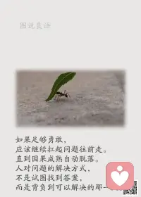 一、世界太大，生命太短，如果不导演好自己，怎能悟透人生的意义？

二、所谓成熟就是，喜欢的东西依旧喜欢，但可以不拥有；讨厌的东西依旧讨厌，但可以忍受；害怕的东西依旧害怕，但可以面对；以前觉得难以理喻的事情可以理所当然。

三、人生匆匆，转瞬就是几十年，一路走，一路聆听。人生，就是一个修炼的过程，何必用这一颗不平的心，作践了自己，伤害了岁月。生活中，不妨养成能有，很好；没有，也没关系的习惯，便能转苦为乐。活着，就是一种修行！ 

美好的一天开始了！
早安，亲们！