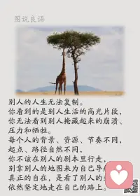 一、当我们是大为谦卑的时候，便是我们最近于伟大的时候。——泰戈尔

二、你若想被爱，就要先去爱人；你期望被人关心，就要先去关心别人；你要想别人对你好，就要先对别人好。

三、有同情心，才能利人；有体谅心，才能容人；有忍耐心，才能做人；有慈悲心，才能度人；有艰难心，才能助人；有明智心，才能观人；有包容心，才能处人；有厚道心，才能谋人；有细节心，才能察人；有信任心，才能用人；有责任心，才能育人；有美丽心，才能示人。 

美好的一天开始了！
早安，亲们！