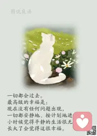 一、年龄永远不是衡量一个人的刻度，只有责任的叠加才会让人逐渐成长。 

二、努力不是为了做给谁看，无论什么结果都能问心无愧，努力是因为你可以不接受命运的框定，靠自己来场漂亮的反击。

三、任何时候都可以开始做自己想做的事，希望你不要用年龄和其他东西去束缚自己。年龄不是界限，除非你自己拿去为难自己。人生需要规划，但是意外总是会到，与其强求某事某地达到某个目标，不如顺其自然。当然不是说听天由命，而是听从心的方向，去做到最好。—— 沈奇岚