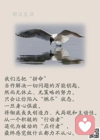 一、只要你不认怂，生活就没办法撂倒你。  

二、有时候，坚持了你最不想干的事情之后，便可得到你最想要的东西。 

三、【成就大器有四个条件】1、要经得起烦嚣；2、要受得了气愤；3、要忍得下挫折；4、要耐得住时间。心胸豁达开朗的人，凡事看得高远，不会被眼前的得失所蒙蔽；心中狭隘的人，则处处与人比较、计较，徒增烦恼，往往不能成事。