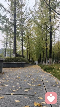 一、拖延和等待，是世界上最容易压垮一个人斗志的东西。

二、记住四句话：再难也要坚持，再好也要淡泊，再差也要自信，再多也要节省。 

三、人生长途漫漫，我们不可能每一步都走得那么完美，摔上几跤，走几段弯路，这并非坏事，至少让我们品尝了挫败，增添的阅历，让我们的人生多姿多彩。或许走过终点时我们才明白，一路平坦却少了风景，没有转折也多了平淡。只要经历了，尝试了，走过了，我们赢得的，就是一个全新的自己。 

美好的一天开始了！
早安，亲们！[玫瑰][玫瑰][太阳][太阳]