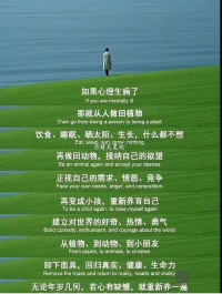 生命是一棵长满可能的树！🌴🌳🎄配图