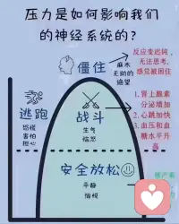 压力是如何影响我们的神经系统的？