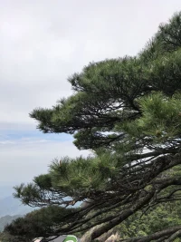 給予我平靜，去接受我無法改變的；給予我勇氣，去改變我能改變的；給予我智慧，分辨這兩者的區別。配圖