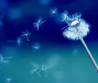 讓你痛苦的人是你自己，并不是別人配圖