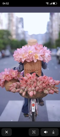 你生命的前半辈子或许属于别人，

活在别人的认为里。

那把后半辈子还给你自己、

去追随你内在的声音。