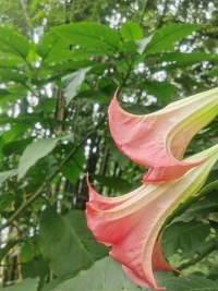 婚姻无非就三样，相对稳定的两个人一起吃，一起睡，一起聊。吃，经济利益，睡，生理和谐，聊，灵魂伴侣。只要占一样，婚姻就能苟延残喘，两样就可以比较稳定，三样则可遇不可求。