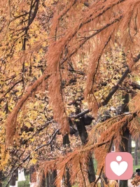 你接纳什么，什么就消失。你对抗什么，什么就存在。如果你不明白，你的敌人就是你自己。
​
​