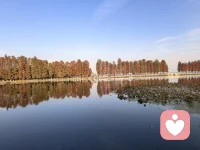 你接纳什么，什么就消失。你对抗什么，什么就存在。如果你不明白，你的敌人就是你自己。
​
​