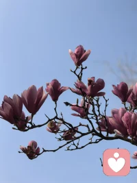 丰衣足食之后，一个人的精神追求大约可以分成三个类别：①艺术类的喜好；②科学上的探寻；③自我探索，以了解自己为目标，更好地活着，是这些人的最高理想。