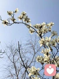 丰衣足食之后，一个人的精神追求大约可以分成三个类别：①艺术类的喜好；②科学上的探寻；③自我探索，以了解自己为目标，更好地活着，是这些人的最高理想。