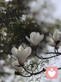 丰衣足食之后，一个人的精神追求大约可以分成三个类别：①艺术类的喜好；②科学上的探寻；③自我探索，以了解自己为目标，更好地活着，是这些人的最高理想。