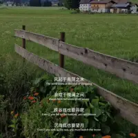 風起于青萍之末，浪成于微瀾之間
跌谷底也要開花，沉海底也要望月配圖