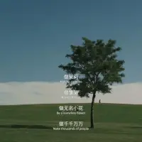 做茉莉，做雛菊
做無名小花，做千千萬萬配圖