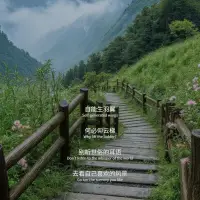 自能生羽翼，何必仰云梯配圖