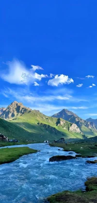 總想著得失，那么就會覺得勉強自己，甚至產(chǎn)生心結(jié)。與其如此，還不如率性而為，跟隨心的決定。配圖