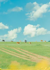 如果想变得幸福，不要考虑别⼈怎么看你，⽽要考虑⾃⼰想做什么。配图