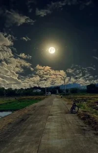 蕞深的夜，才能看見蕞亮的星；
蕞痛的磨礪，才能鍛造蕞璀璨的光。配圖