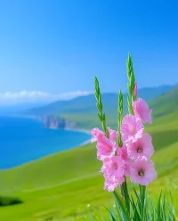縱有千古 橫有八荒 前途似海 來日方長。配圖