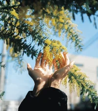 “愛是人類zui美好的情感，它能讓人變得勇敢、堅強?！迸鋱D