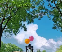 經(jīng)典條件反射的特點
1) 強化和消退：條件刺激與無條件刺激在時間上的結(jié)合稱為強化，強化的次數(shù)越多，條件反射就越鞏固。然而，當條件刺激不被無條件刺激所強化時，就會出現(xiàn)條件反射的消退。
2) 泛化和分化：泛化指的是在條件反射形成初期，除條件刺激本身外，那些與該刺激相似的刺激也或多或少具有條件刺激的效應(yīng)，引起條件反射。配圖