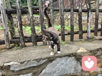 生活總會在最深的絕望里，遇見最美麗的風景配圖