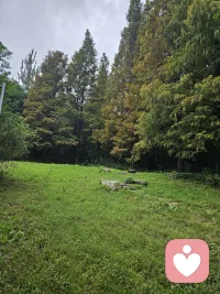 于高山之巅，方见大河奔涌；
于群峰之上，更觉长风浩荡。