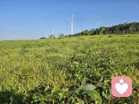 “再微小的光也是光，再平凡的人也有自己的高光时刻。”